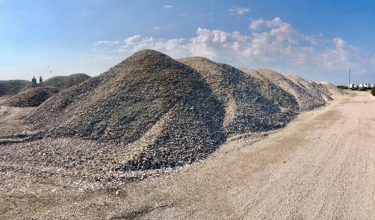 Shell piles for miles Cape Atlantis Shells
